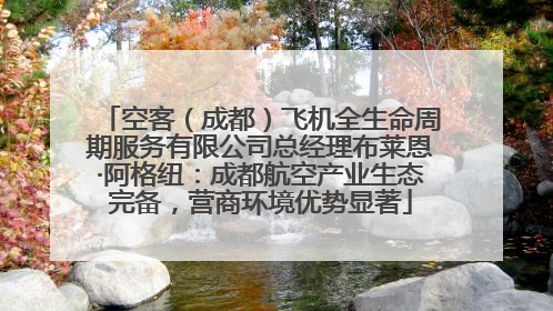 空客（成都）飞机全生命周期服务有限公司总经理布莱恩·阿格纽：成都航空产业生态完备，营商环境优势显著